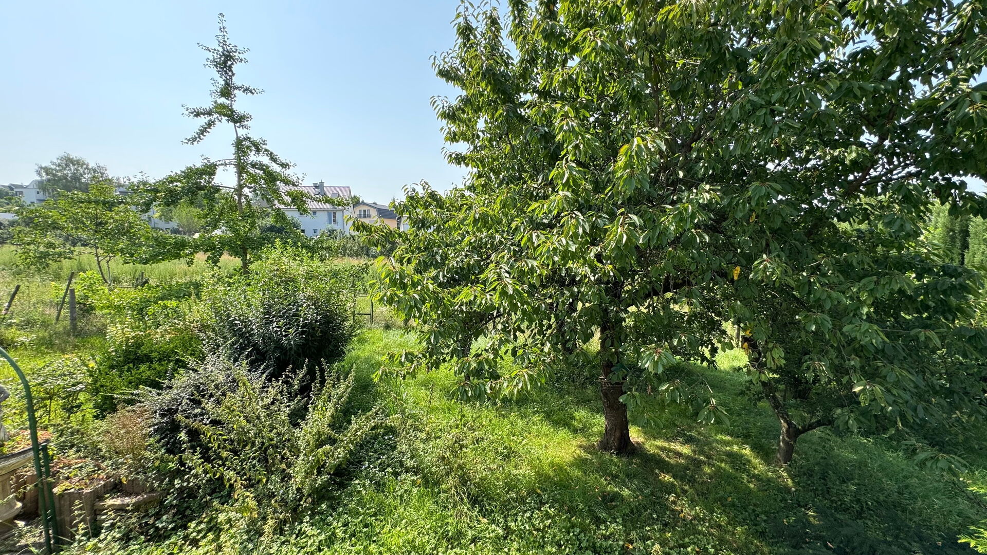 Gebäudeensemble Weinheim-Lützelsachsen in Weinheim