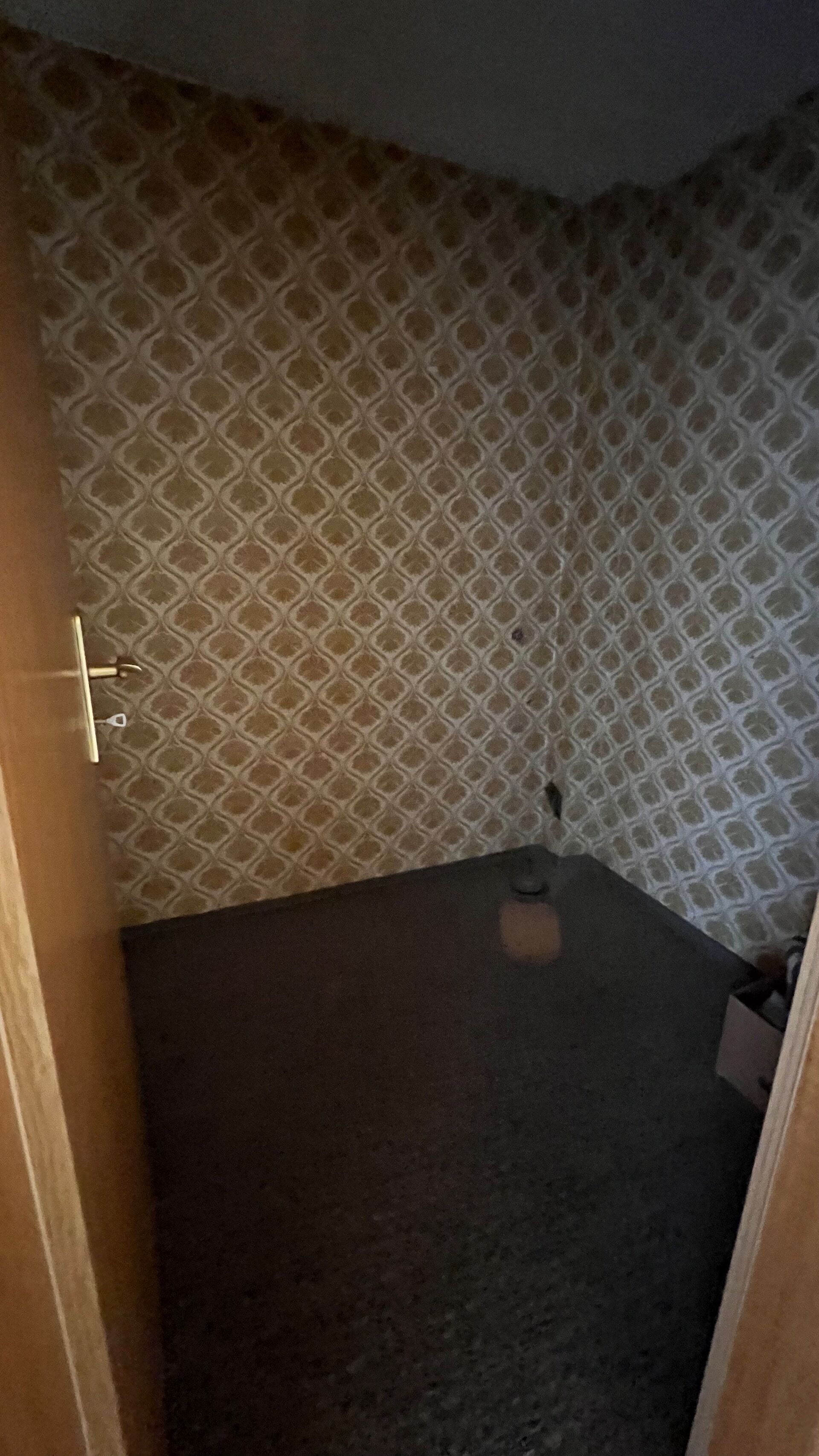 Sanierungsbedürftige 5 Zimmer Haushälfte, Weinheim-Stadt in Weinheim
