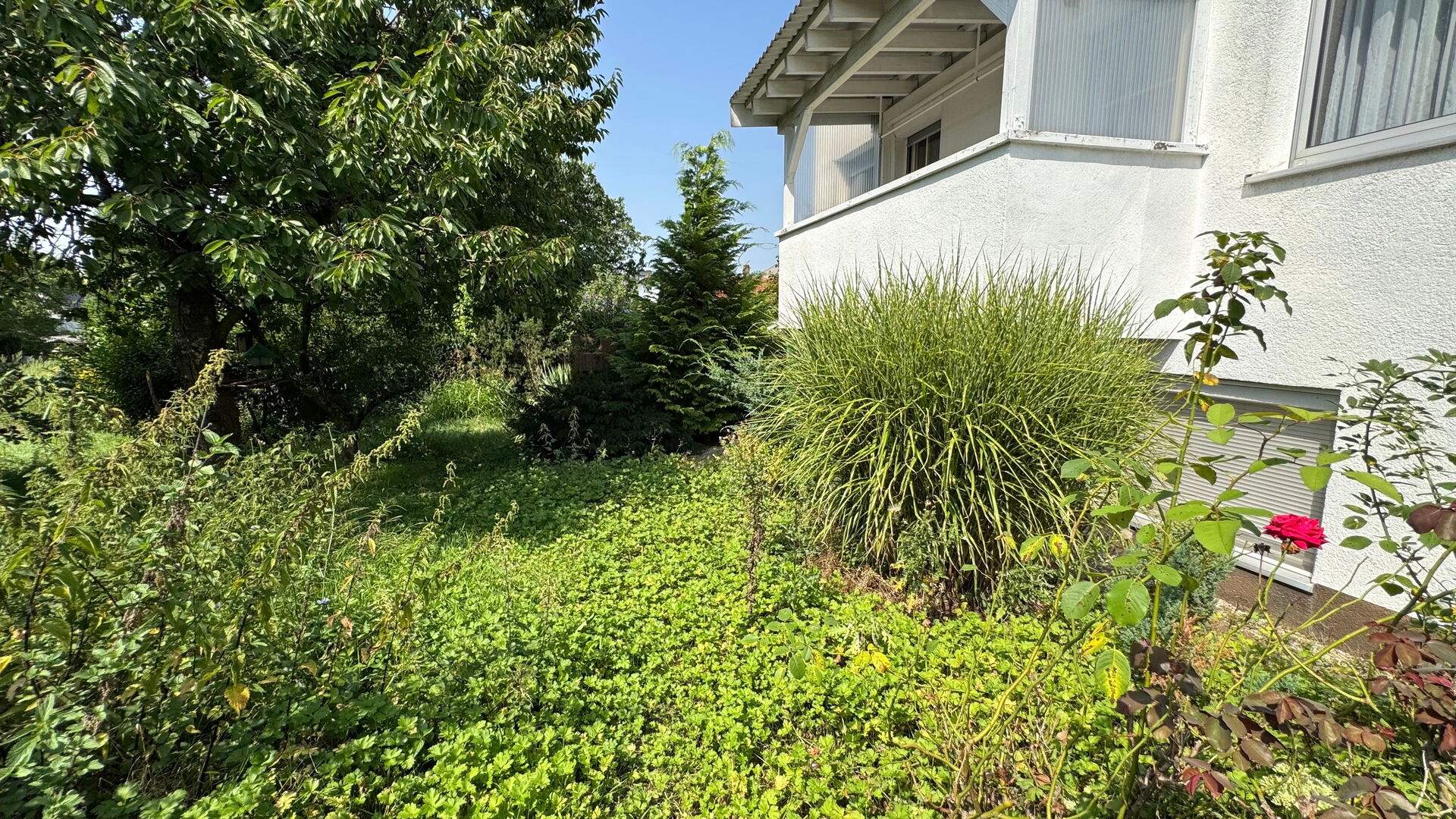 2 Einfamilienhäuser mit Potential, Weinheim-Lützelsachsen in Weinheim