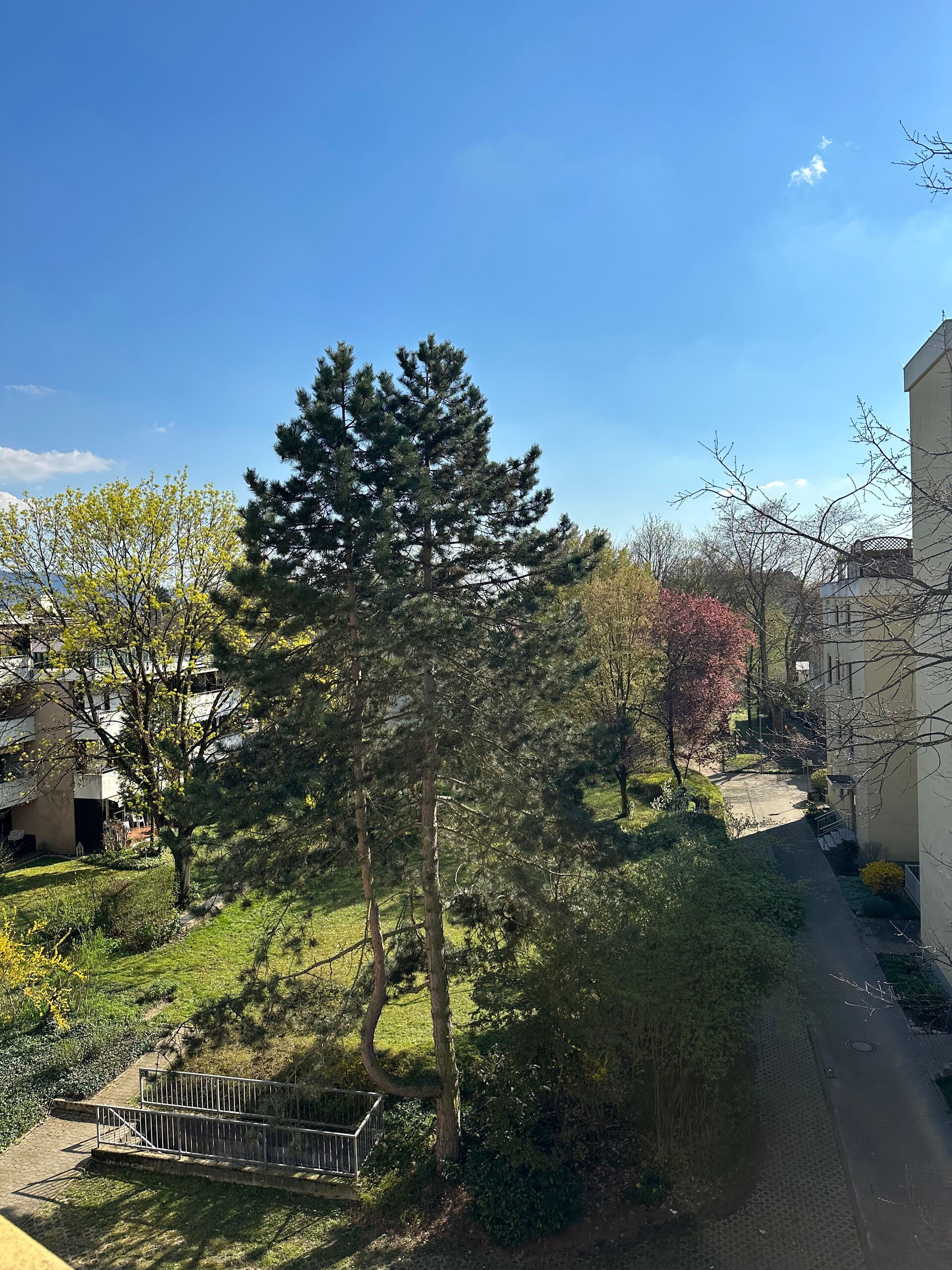 Helle, gepflegte ETW mit Balkon und Blick ins Grüne in ruhiger Lage von Weinheim-Mult in Weinheim