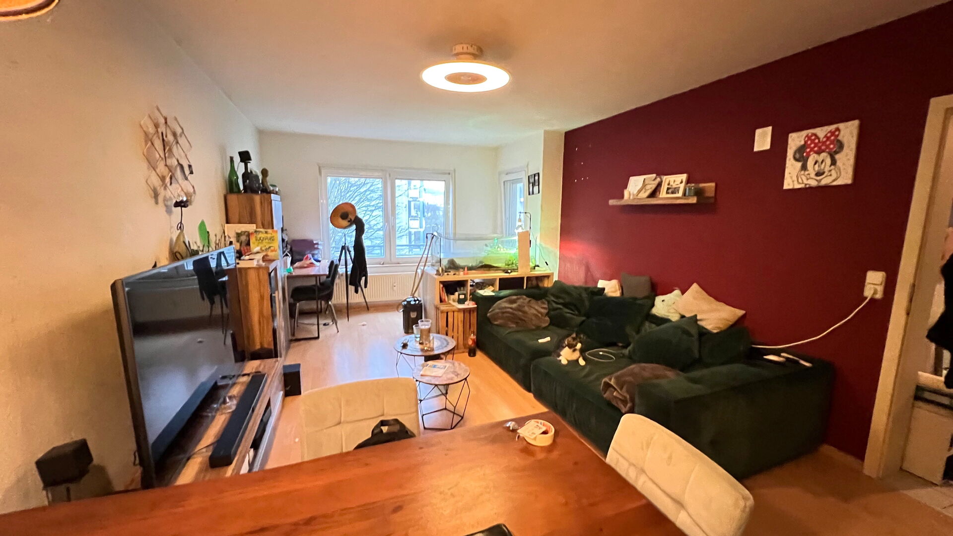 Helles 2 Zimmer Appartement in Weinheims- Nordstadt mit hervorragender Anbindung an den ÖNPV in Weinheim