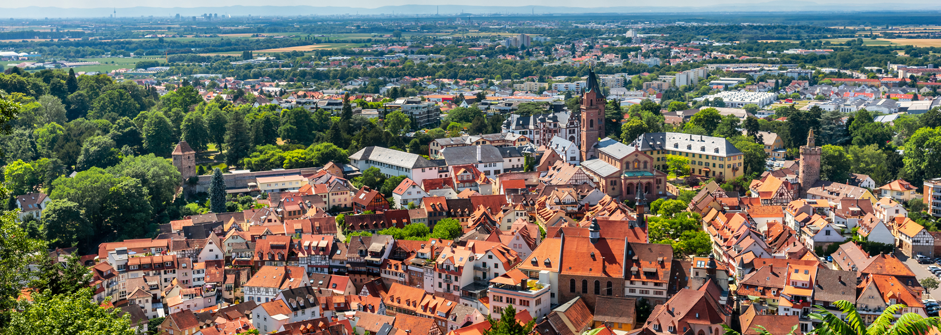 Angebote für Immobilien in der Nähe von Weinheim, Viernheim & Bensheim - Auch Gewerbeimmobilien!